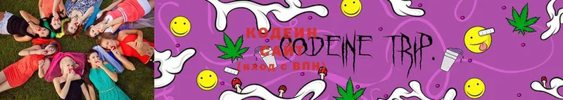 Кодеиновый сироп Lean Purple Drank  купить закладку  Хасавюрт 